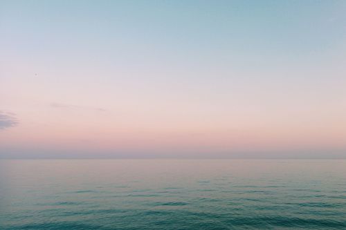 Anna Hoang